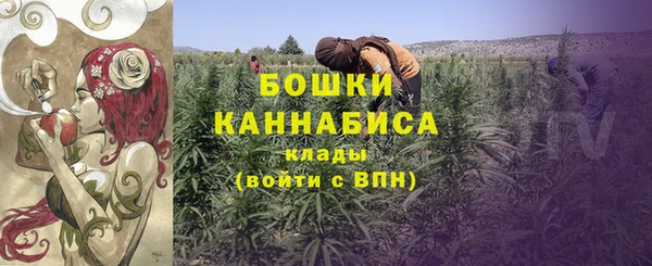 PSILOCYBIN Гусь-Хрустальный