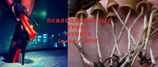 кокс Алексеевка