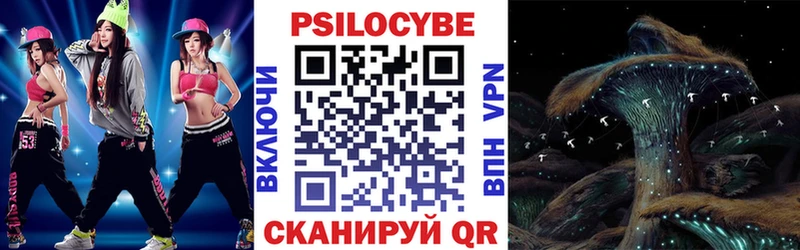 купить наркотик  Кингисепп  Псилоцибиновые грибы Psilocybine cubensis 