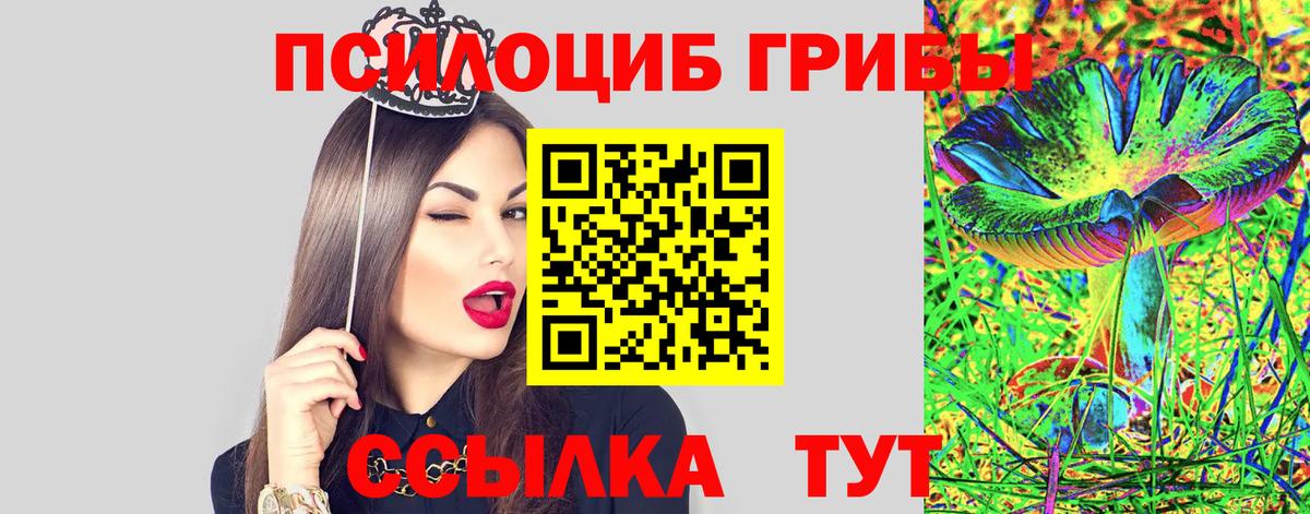 Галлюциногенные грибы прущие грибы  Вход с VPN  цена   Кингисепп 